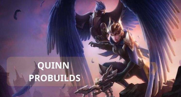 Giới thiệu về Quinn LMHT mùa mới nhất