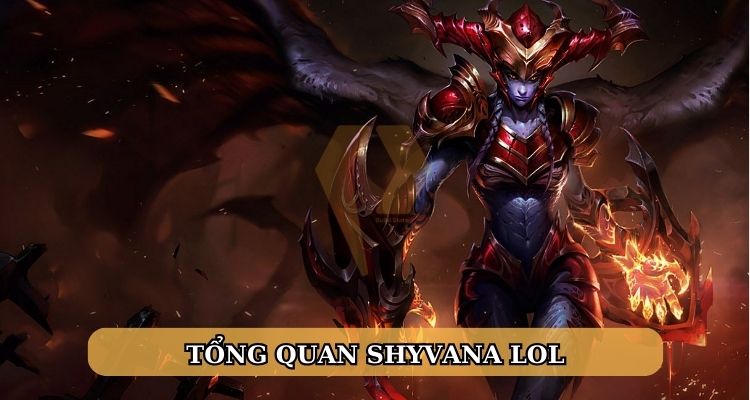 Tổng quan Shyvana LOL